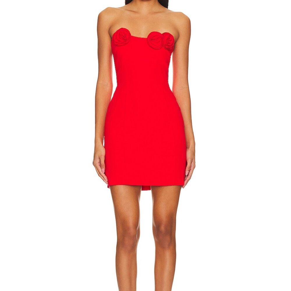 Amanda Uprichard X REVOLVE Sabine Mini Dress, Size Small, Red, Worn Once